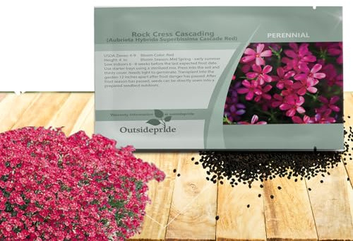 Outsidepride Cascade Red Aubrieta Rock Cress Seeds - 2000 Pcs Perennial Flower Seeds, Easy to Grow, Low Maintenance, Cascading & Low Growing, for Baskets, Rock Walls, or Ground Covers