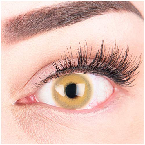 Glamlens lentilles de couleur marron naturelles colorées très haute opacité Alice Brown + étuis à lentilles de contact I 1 paire (2 pièces) I 90 Jours I sans correction I 0,00 Dioptries