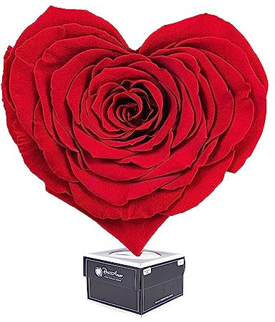 Ewige Rose Infinity Rosen in Geschenkbox Deko Rosenblätter getrocknet Echte konservierte Rosen Rosenkopf Rosenbox Muttertagsgeschenk (Geschenkbox Herz Rot)