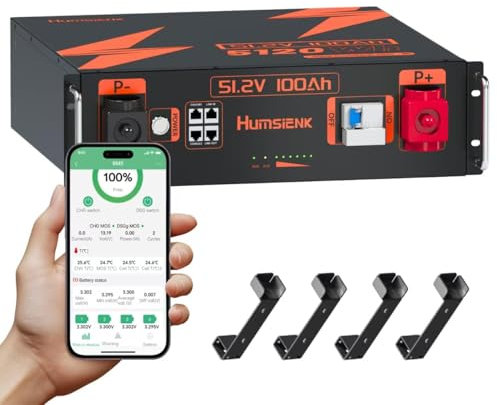 Humsienk Bluetooth 48V 100Ah LiFePO4 Lithium Batterie mit 100A BMS, 5.12KWh 48V Lithiumbatterie Serverschrank Solarbatterie für Solaranlage Komplettset, Photovoltaikanlage,Wohnmobil