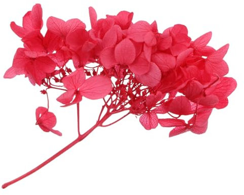Alipis Fiore Di Ortensia Essiccato Naturale Rosa Al Tatto Per Decorazioni Artigianali Per La Casa