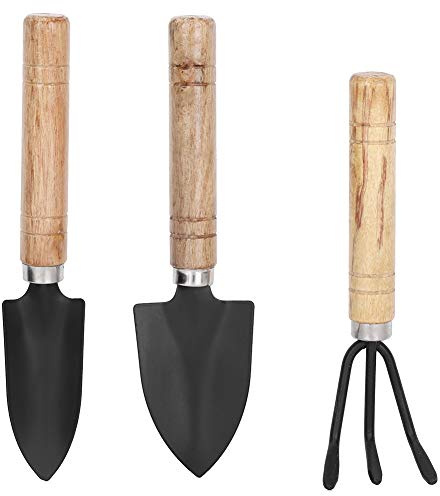 Greensen 3pcs Mini Outils Jardinage - Vrais Outils Métal pour Fleurs Plantant, Griffe Bêche Pelle Plantes Pot