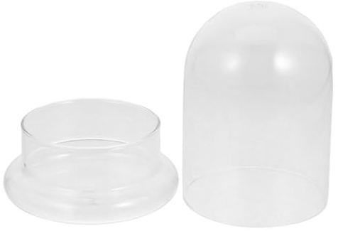 TOYANDONA Cloche à Plantes Verre pour Paysage Miniature Vase Écologique Décoration De Bureau Et Maison Terrarium