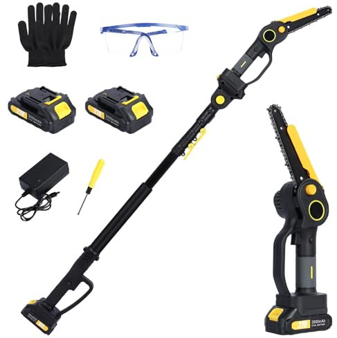 Scie à perche sans fil, scie à branche haute 2 en 1 et mini tronçonneuse manuelle de 15,2 cm, extension de 2,5 m, batterie 21 V 2 x 2,0 Ah et chargeur, tronçonneuse longue portée pour coupe du bois