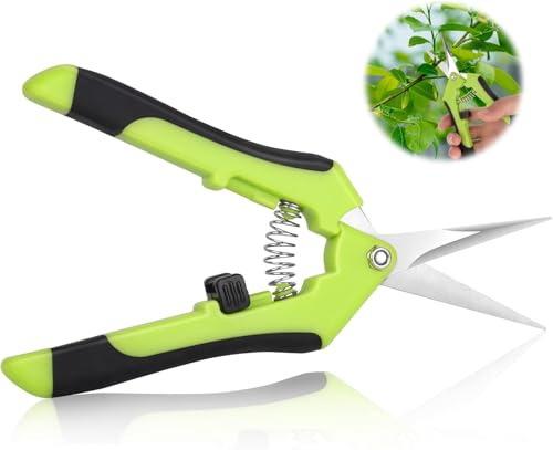 MAEXUS Mini trädgårdssax, skördesax, odlingssax, ergonomisk trimmsax, blomsax, för blommor, grenar, bonsai. och frukt grönsaker plocka
