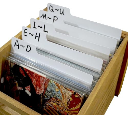 Sdroceriam 10 divisori per dischi vinile 17,8 cm, linguetta bianca, plastica su entrambi i lati, organizzazione e conservazione di