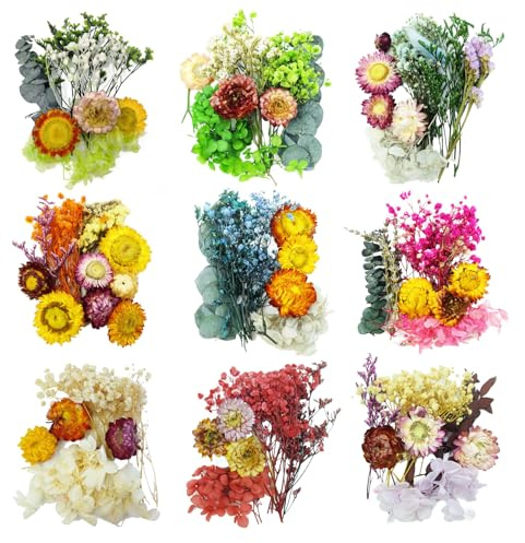TooGet Flores Secas 9 Bolsas Color Mixto Natural Real Flores Secas Hojas para Artesanías Coloridas Mini Flores Silvestres Secas Plantas para DIY Arte Resina de Velas, Artesanías de Joyería, Decoración