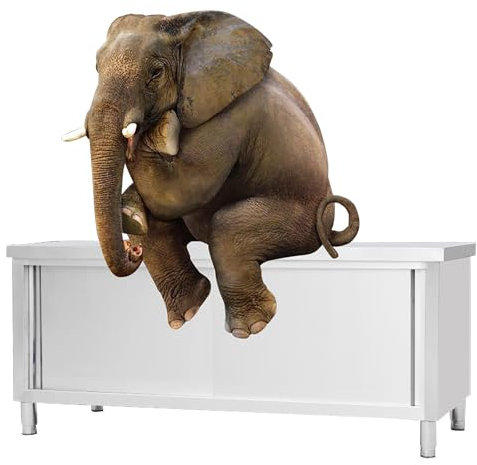 CMYAOYC Edelstahltisch, Gewerblicher Küchenschrank mit Verstellbaren Füßen, Arbeitstisch aus Metall mit Schiebetüren, Küchenregal Arbeitsplatte (Color : Single Channel, Size : 120x80x80cm)