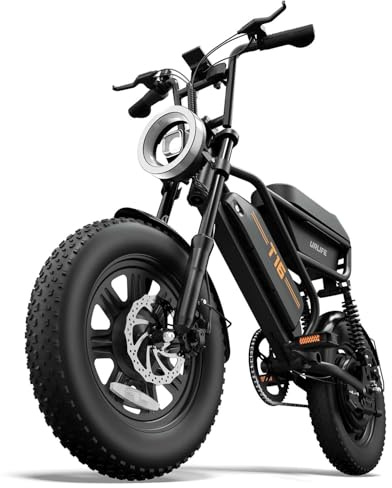 URLIFE Bicicletta Elettrica 16 x 3.0, Batteria Rimovibile da 48V 13Ah, Motore Brushless da 250W, Autonomia di 100km, Bici Elettrica con Doppia Sospensione, Scatola di Immagazzinaggio Ebike per Adulti