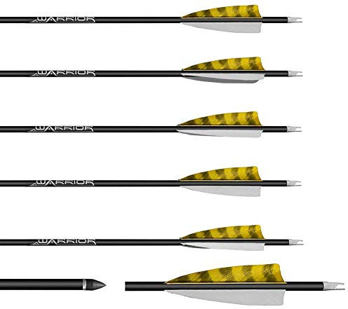 Franks-Castle 6 Stück Gold Tip Warrior Carbonpfeile Spine 500 mit 4 Naturfedern