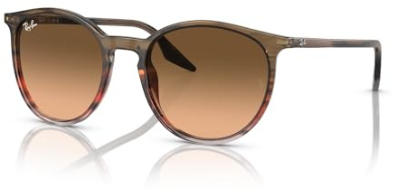 Ray-Ban Runde Sonnenbrille Rb2204