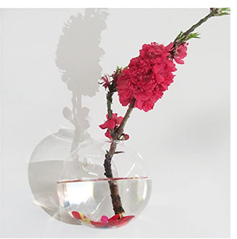 Wand aufhängende Blumen. Halbrunde Glas-Hängevase, Wandmontage, Hydrokultur-Terrarium, Fischglas, Pflanze, Blumentopf, Innenbereich, Zuhause, Schlafzimmer