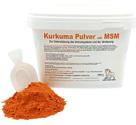 Kurkuma Pulver mit MSM (1000 g)