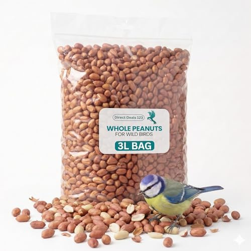 3L Bag Peanuts Whole for Wild Birds Food, Unsalted Nuts for Birds Feed | 100% Natural Ingredients High Energy Nuts for Garden Birds,No Additives, All Season Feeding