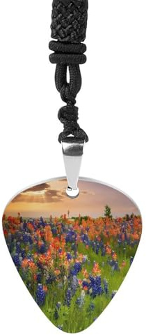 BTCOWZRV Texas bluebonnets landskap gitarr plektrum halsband titan stål gitarr plektrumhållare hänge halsband R&B musik smycken trendigt rockmusik halsband gitarr ukulele plektrum halsband för