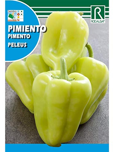 Semillas de Pimiento peleus - Calidad y Versatilidad ?