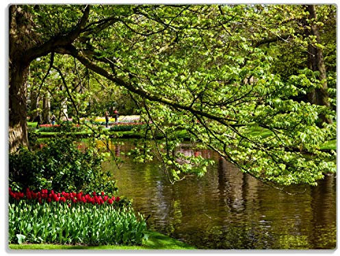 Wallario Glasunterlage/Schneidebrett aus Glas, Bunte Blumen im Park am Wasser - Frühblüher am Ufer, Größe 30 x 40 cm, Kratzfest, aus Sicherheitsglas