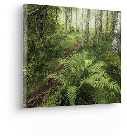 Komar Stretcher Frame Picture in Real Wood Frame - Mystic Birch Grove - Size 40 x 30 cm - Landscape Motif for Living Room/Bedroom