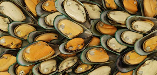 searigs Sea Fishing - Extract Bait Oil Black Lugworm, Crab, Mackerel and Bluey, Squid and Cuttlefish, Prawn and Crab, Rag worm, Sea Fishing Bait for Cod, Bass, Sole, Conger (Mussel & Razorclam)