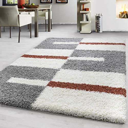 Teppium Moderner Hochflor Teppich Wohnzimmer 300x400 (280 x 370 cm) Terrakotta - Shaggy Flauschiger Teppich, Extra Weich, Pflegeleicht und Kariertes - für Schlafzimmer, Küche und Esszimmer