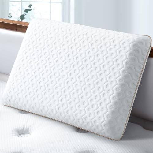 BedStory Memory Foam Pillow, Neck Pillows for Sleeping, Cervical Bed Pillow for Neck Support - Side Back Stomach Sleepers, Removable Washable Cover & Ventilated Design (60X40X13CM)