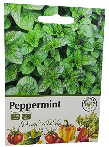 Vegetable Fruit Seeds Veg Seeds Cabbage Carrot Sweetcorn Tomato Strawberry (Peppermint)