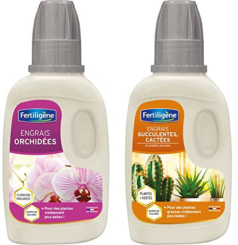 Fertiligène Engrais Orchidées, 250 ML & Engrais Cactus et Succulentes, 250 ML