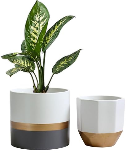Set di vasi Salih bianco grigio e oro a righe, 2 vasi in ceramica per interni ed esterni