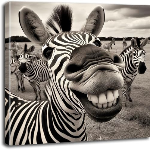 Objectz Leinwandbild Smiling Zebra/lachendes Zebra - witziges Wandbild auf Leinwand - verschiedene Formate - aufhängfertig (60 x 60 cm)