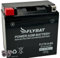 Batterie FlyBat FLYTX14-BS / YTX14-BS AGM geschlossen