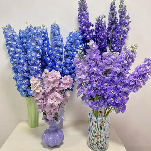 rittersporn balkonpflanze blumenstauden winterhart bonsai topf dachbegrünung blumengarten balkonpflanzen frühling büropflanzen blumenwiesensaat schnittblumen exotische zimmerpflanzen 380samen