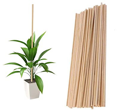 Suxgumoe Plant Support Sticks, 45pcs 40cm Reusable Bamboo Plants Support Flower Stick Garden Tools for Garden Canes