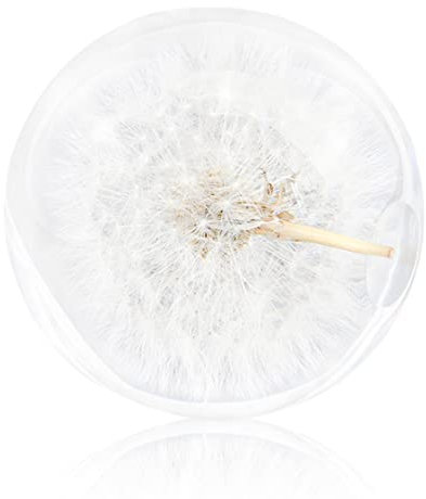 Kristallkugel, Löwenzahn-Briefbeschwerer, Traumball, einzigartiger Briefbeschwerer aus Kunstharz, Geschenke für Kinder, Freunde, Kristall-Requisite, Heimdekoration, Löwenzahn-Briefbeschwerer-Kugel