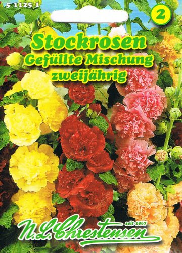 Alcea rosea , Stockrosen, Gefüllte Mischung, starkwachsende Prachtstaude Malve