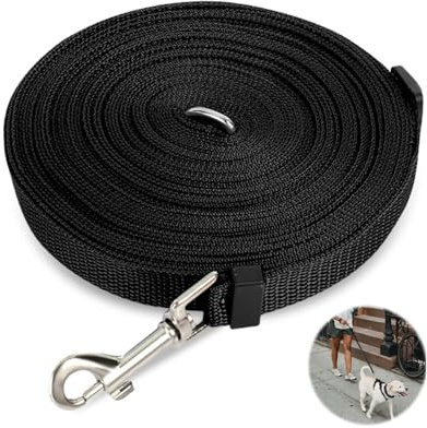 Bieiyhe Longe pour Chien 10 m - Laisse de Dressage Imperméable avec Mousqueton en D pour L'extérieur - pour Petits et Grands Chiens-Noir