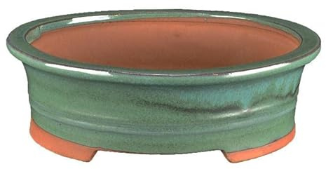 Ovale Bonsaischale aus grün glasiertem Steinzeug 21,5x17,5x6,5 cm - 2836Va