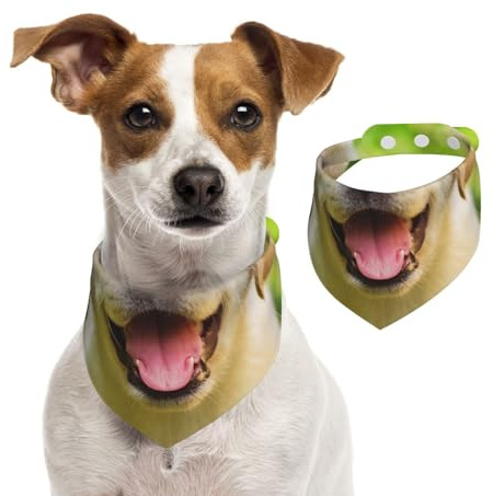 Labrador Retriever Welpe, Hundehalstücher, Baumwoll-Haustierschal, verstellbare Lätzchen für Haustiere,M