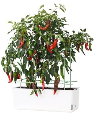 Kavolet Tomaten Rankhilfe, Blumentopf mit Aufhängung, Balkon-Pflanzkasten, Gemüsepflanzer, Tomatentopf selbstbewässernd, Pflanztopf für Gemüse und Blumen, Sichtfenster mit Wasserstand