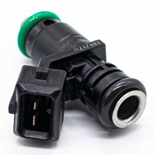 Einspritzdüse Injektor Für Ford Für Fiesta 1,25 Für E85 1 Pcs Kraftstoff Injektor 10G-06 10G06 Einspritzdüse
