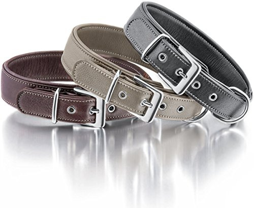 Knuffelwuff 13991-001 Weiches Lederhalsband Hund Hundehalsband Glendale 33-40cm, Natur