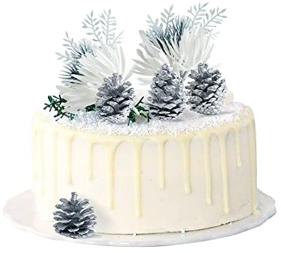 Blumomon 5Pcs Winter Wonderland Cake Decorations Artificial White Flower Artificial Pine Cones Cake Toppers for Winter Christmas Xmas Holiday Party Supplies