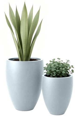 CLP Grand bac à Plantes, Set de 2 pour l'extérieur et l'intérieur, Outdoor XXL bac à Fleurs Rond, résistant aux intempéries et au Gel, Couleur:Gris