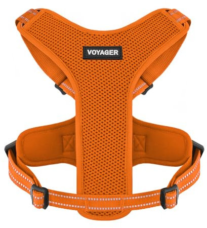 Air Frontier Mesh-Hundegeschirr mit Stahlleine, D-Ring, reflektierenden Nähten, leicht, atmungsaktiv, kein Ziehen, verstellbare Hals- und Brustgurte für kleine bis große Rassen, ORW, M