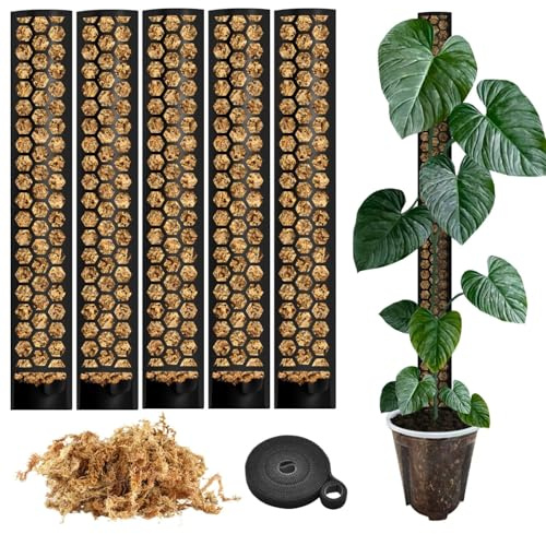 PlantScraper Mosspinne för monstera – växtstöd och tillbehörsset för inomhusväxter – 5 x växtstavar med växtkardborreband och mossa – optimerad för aromider – fäste för klätterväxter – 35 x 6 cm