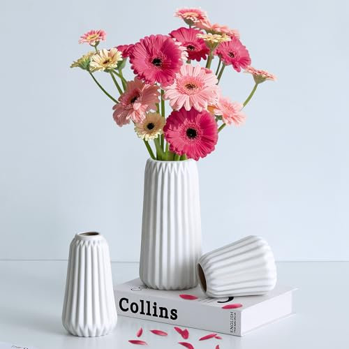 Ordeluxe Set med 3 Vita Keramiska Vaser, Dekorativ Vas, Vas för Blommor, Pampas Vas, Perfekt för Modern Heminredning och Vardagsrumsdekoration