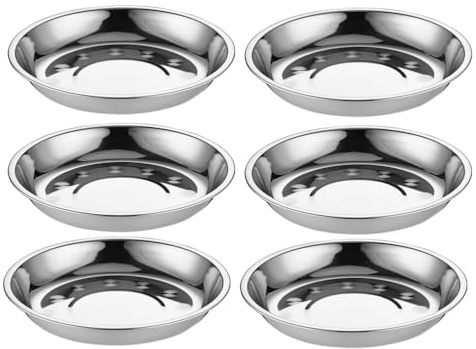 Lurrose 6 piatti rotondi in acciaio inox, infrangibili, insalata e frutta, per adulti, mangiare, campeggio, picnic, all'aperto, 16 cm, argento