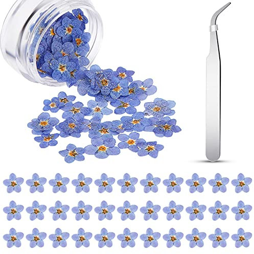 80 Pezzi Fiori Essiccati Naturali Non Ti Scordar di Me Fiori Veri Secchi Blu per Resina Fiori Pressati con Pinzetta a Gomito Materiale per Gioielli Fai da Te Decorazioni per Unghie