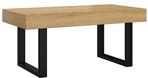 vidaXL Mesa de Centro Salón Teléfono Mueble Sofá Auxiliar Sala Dormitorio Oficina Despacho Estante Hogar MDF y Hierro Marrón Claro y Negro
