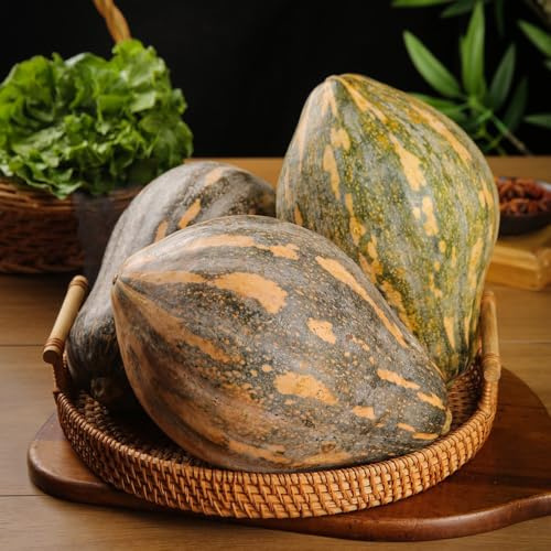 kürbissamen bio kürbis, kürbiskerne gemüsesamen winterhart, hochbeete für garten, bio wintergemüse winterharte garten 60samen