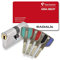 Vachette RADIALis SYNKRO - Cilindro di serratura a scomparsa, 32,5 x 32,5 mm, in acciaio inox, massima sicurezza, per porta esterna, porta d'ingresso, 4 chiavi incopiabili, scheda di proprietà